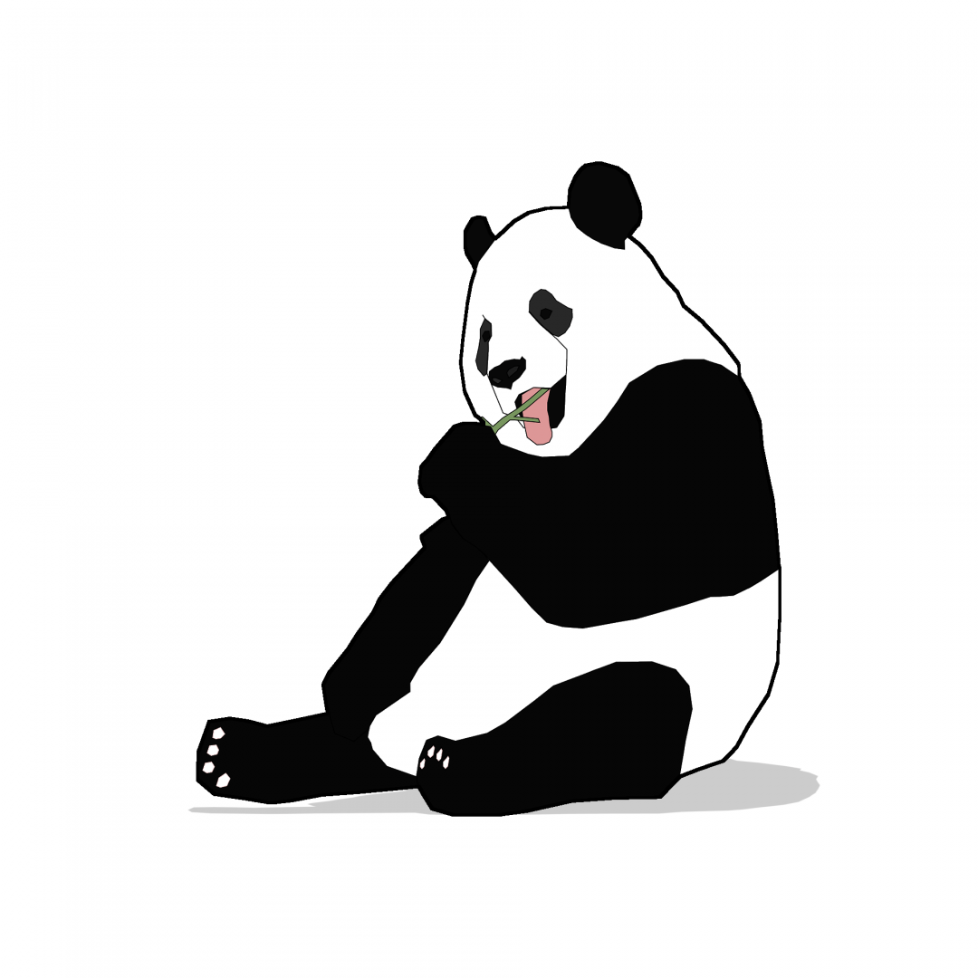 Lazy Panda Album Cover
